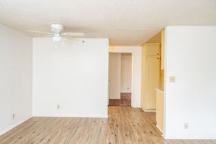 12100BIR - Photo 1 of 1