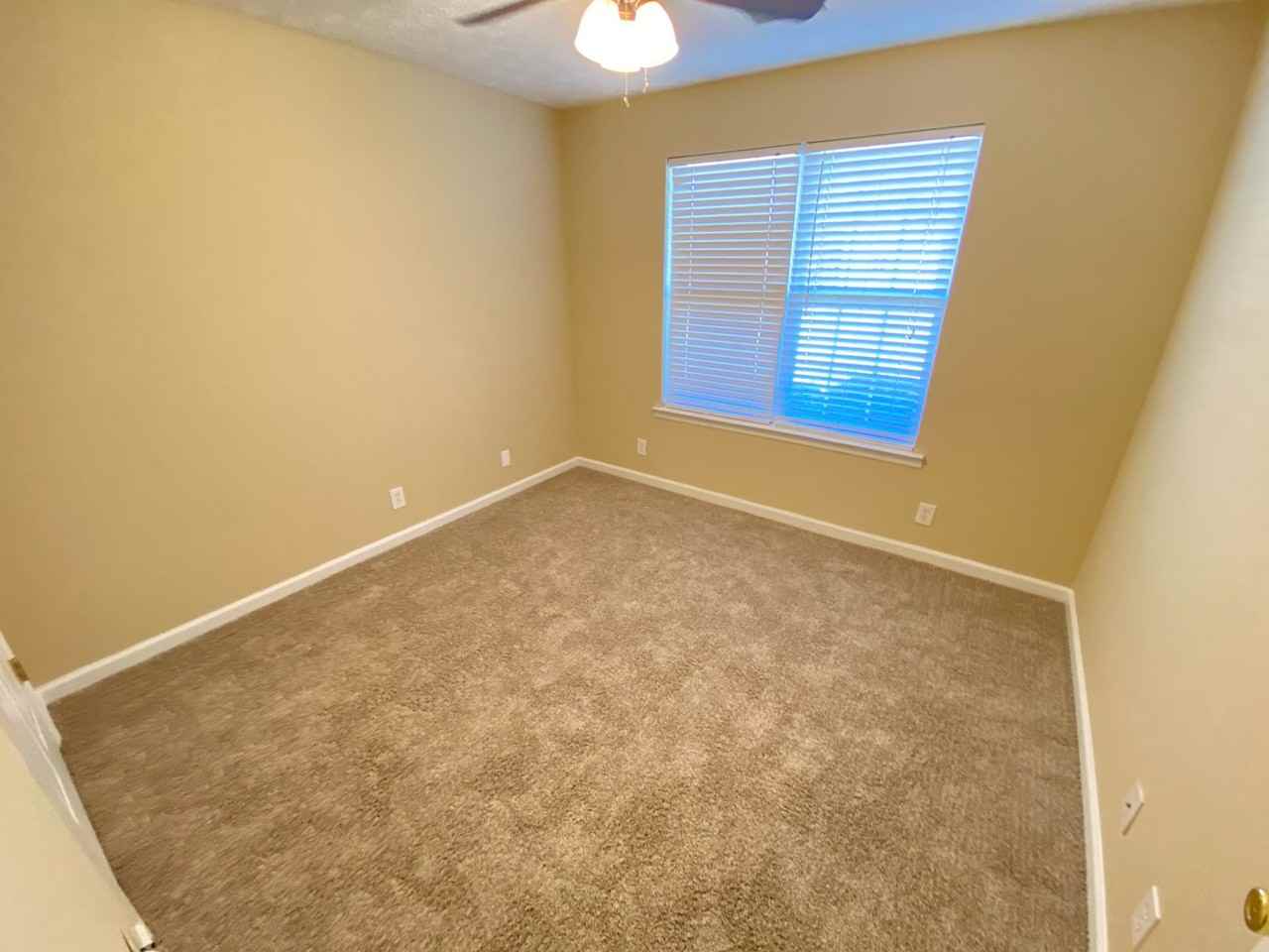 711 Fields Ln - Photo 7 of 22