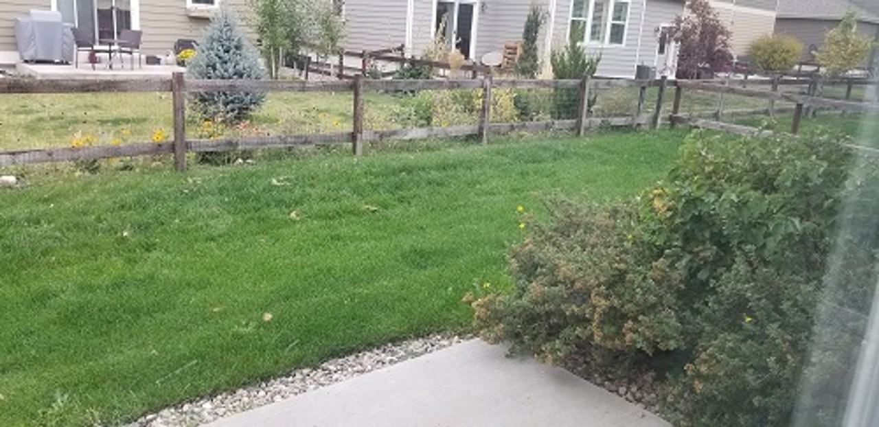 1902 Winamac Dr - Photo 4 of 8