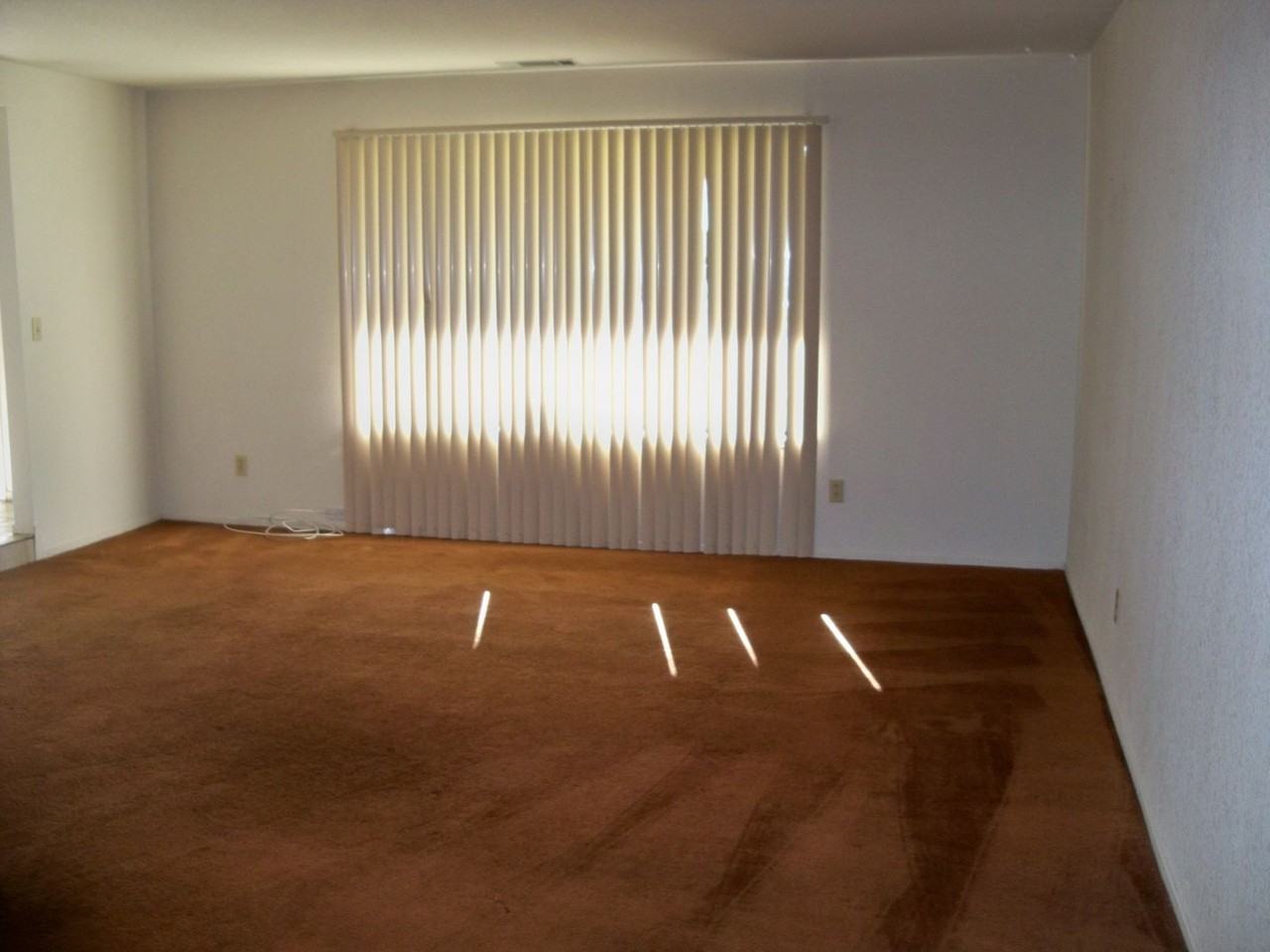 2124 Sunny Oak Ct - Photo 3 of 10