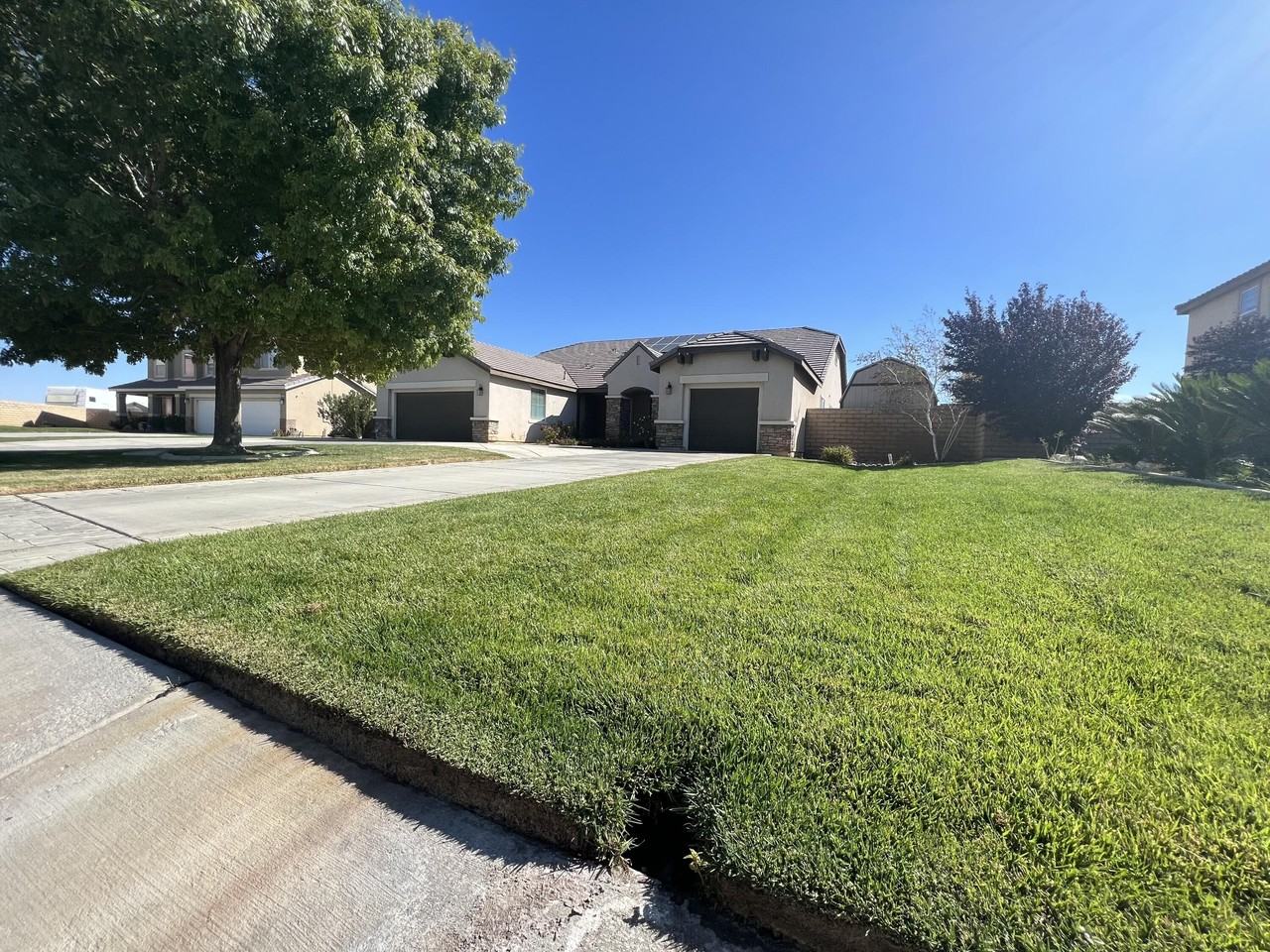41530 Yew St - Photo 2 of 39