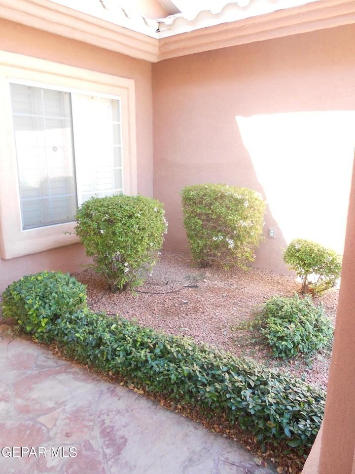 1201 Brown Ridge Pl - Photo 4 of 50