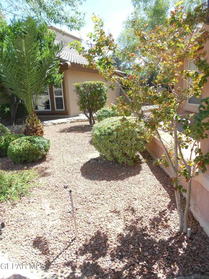 1201 Brown Ridge Pl - Photo 5 of 50