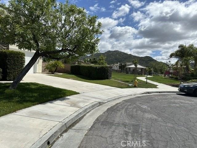 45522 Olive Ct - Photo 2 of 38