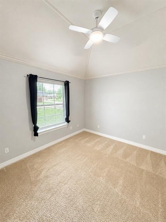 2353 Tallgrass Cir - Photo 6 of 10