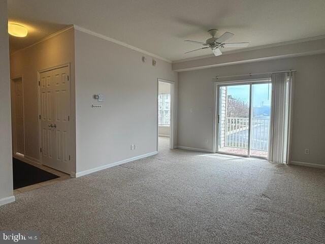 17059 S Brandt St #3206 - Photo 4 of 12