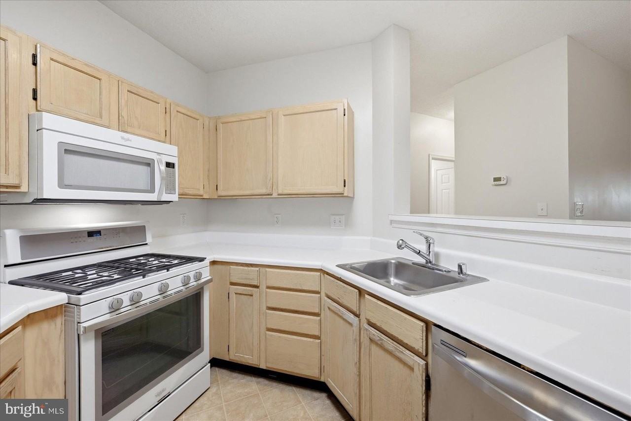 14316 Climbing Rose Way #102 - Photo 7 of 29