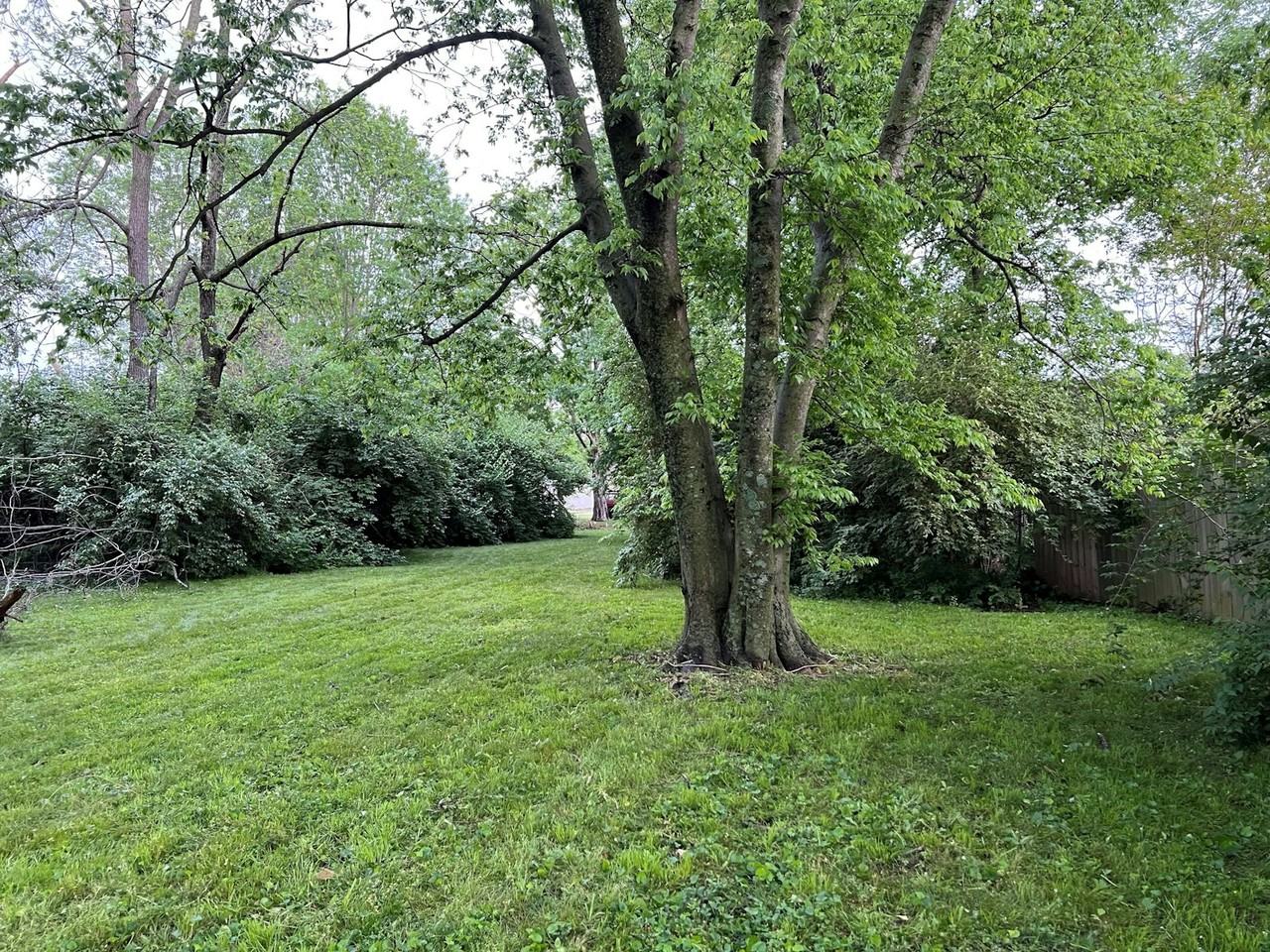 6334 Patton Ave, Unit A - Photo 4 of 8