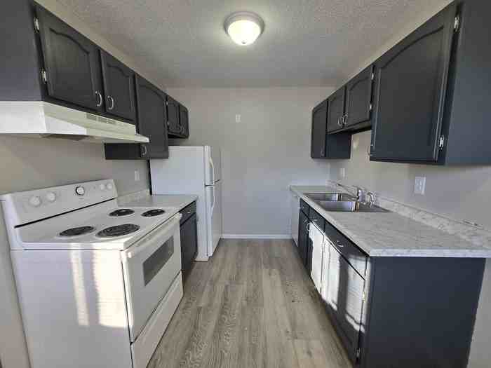 502 Lewis Ave #310 - Photo 4 of 17