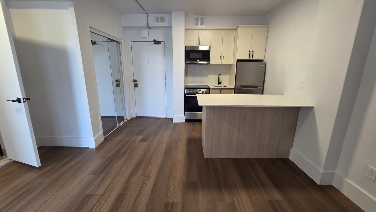 3433 Rue Durocher #606 - Photo 4 of 14