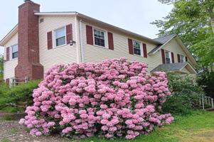 featured image of 605 Old Wellington Rd