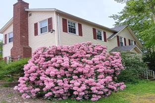 605 Old Wellington Rd - Photo 1 of 1