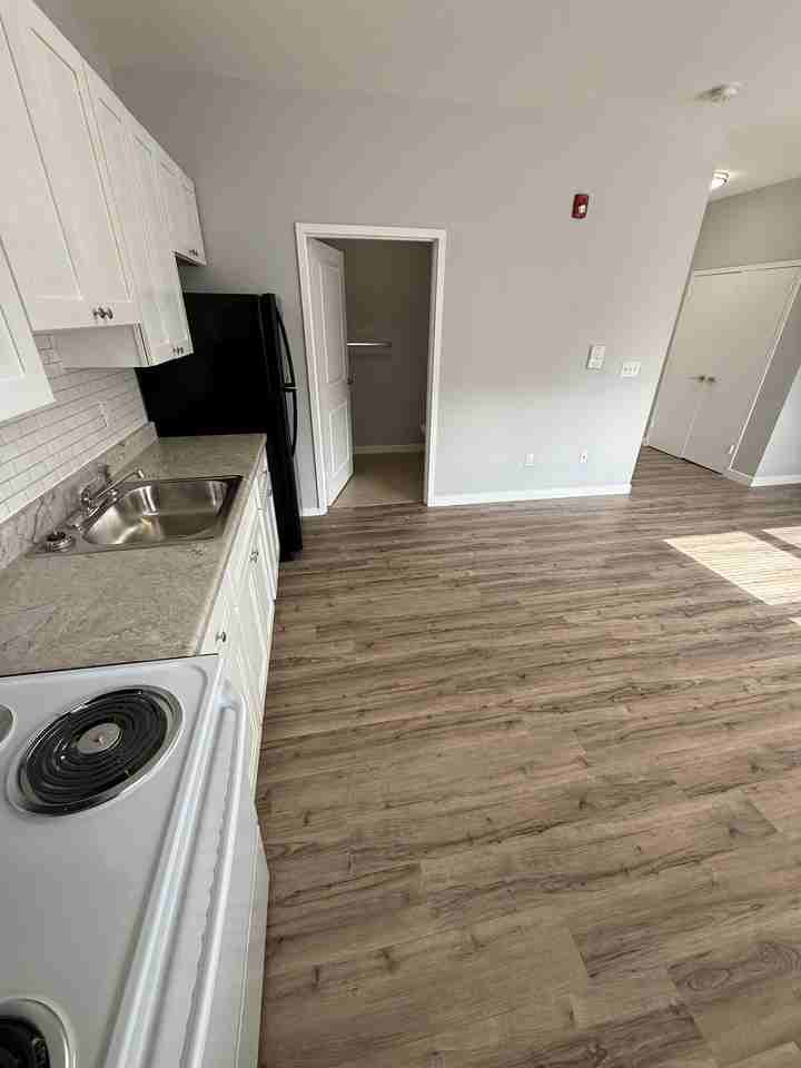 146 Hamilton Ave #203 - Photo 4 of 9