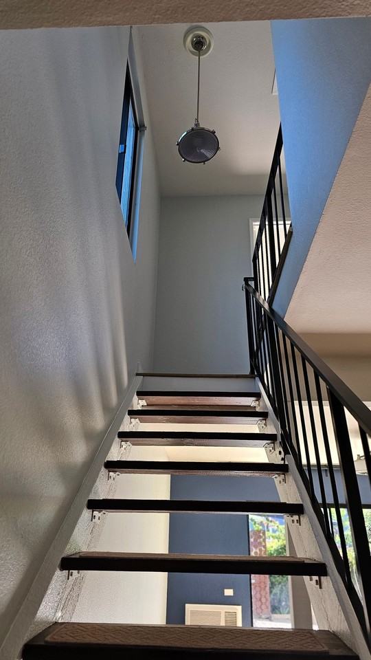 33903 Copper Lantern St - Photo 5 of 5