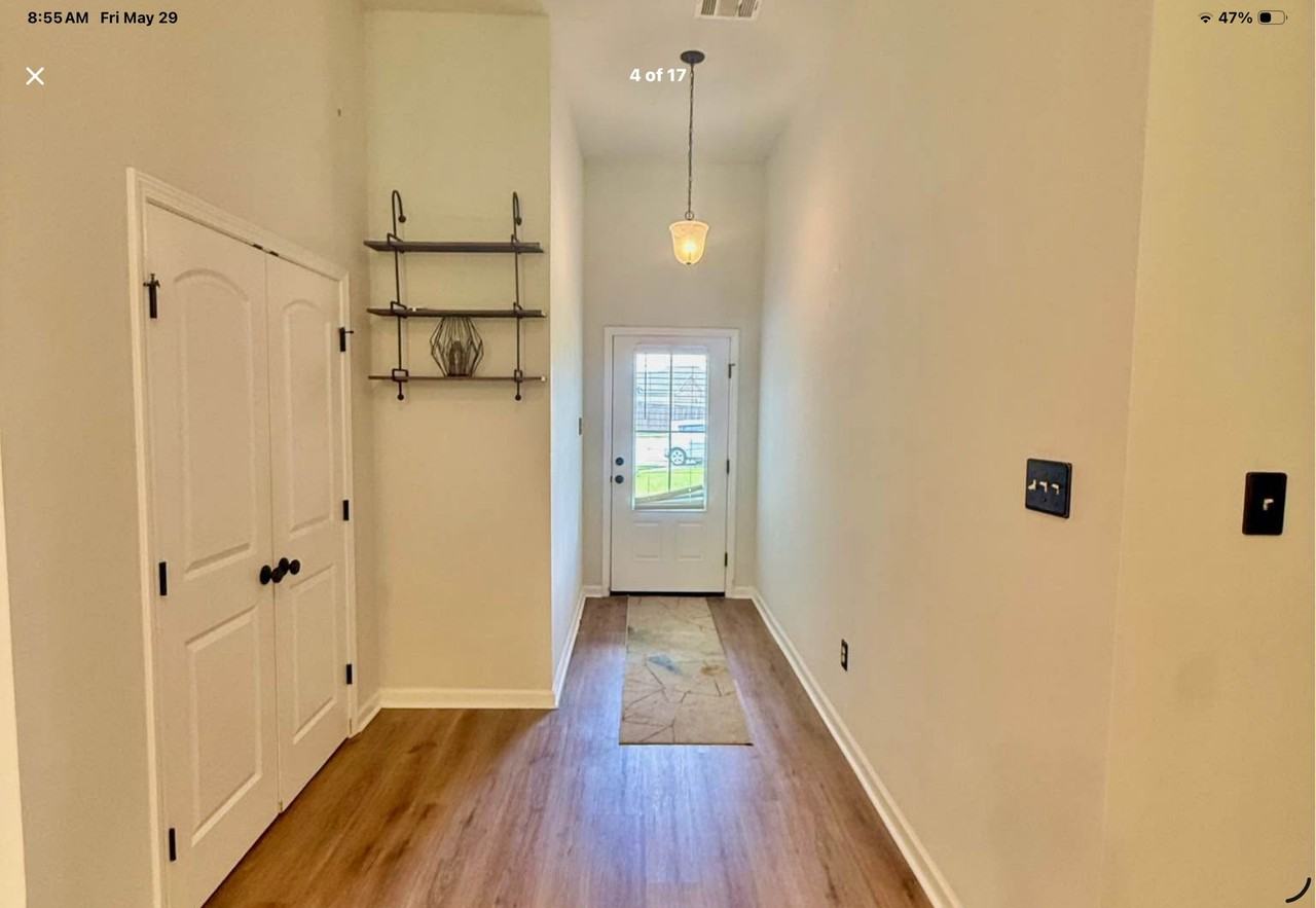 315 Springsteen Ln - Photo 4 of 17