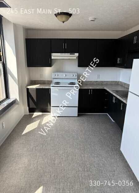 245 E Main St #503 - Photo 6 of 19