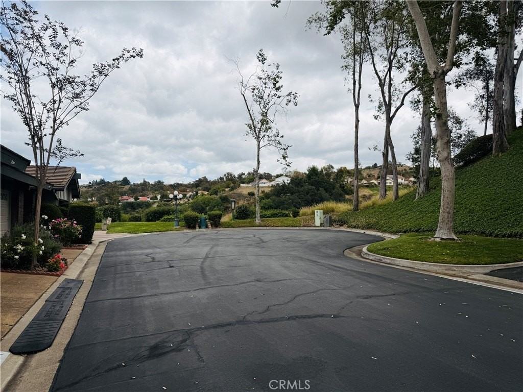 6541 E Paseo Goya - Photo 4 of 35