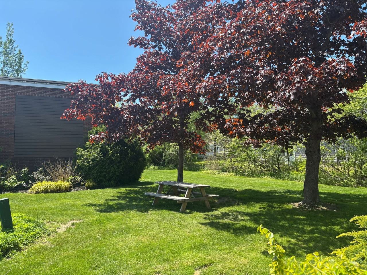 The Cove Apartments offering 1 & 2 Bedroom Apartments Great Location Rockland - Photo 6 of 18