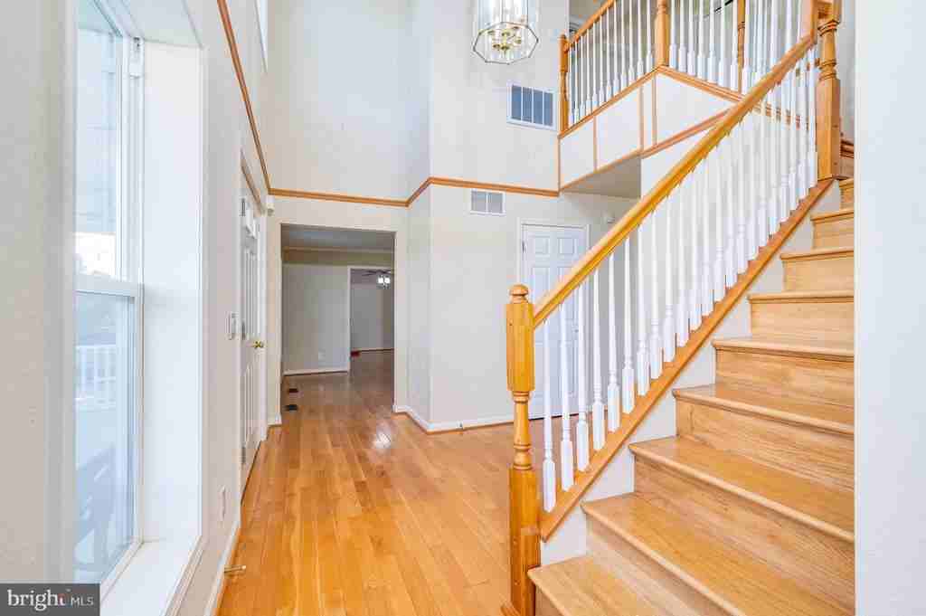 401 Ponderosa Trl ##1 - Photo 6 of 50