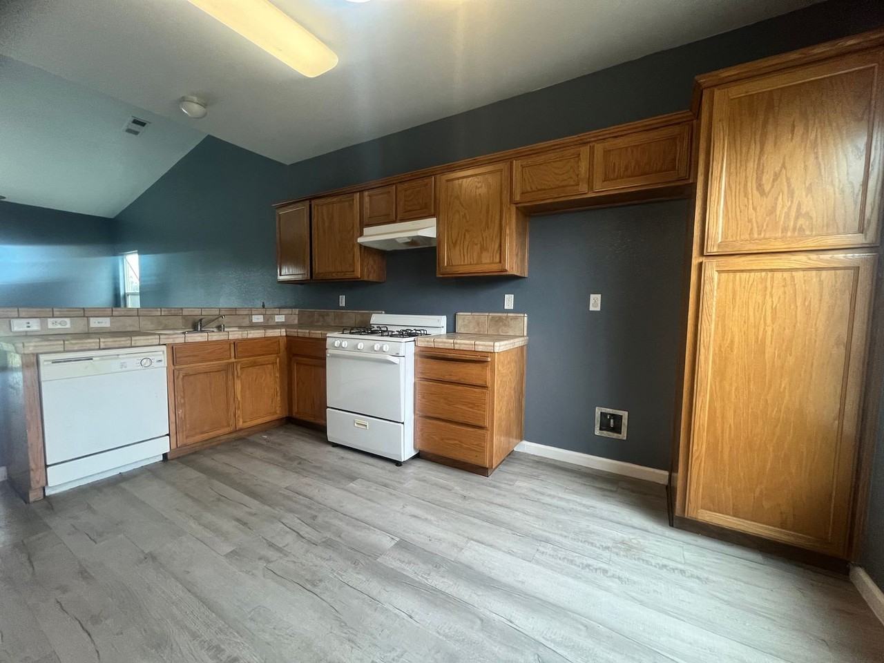 30743 Cottontail St - Photo 3 of 14