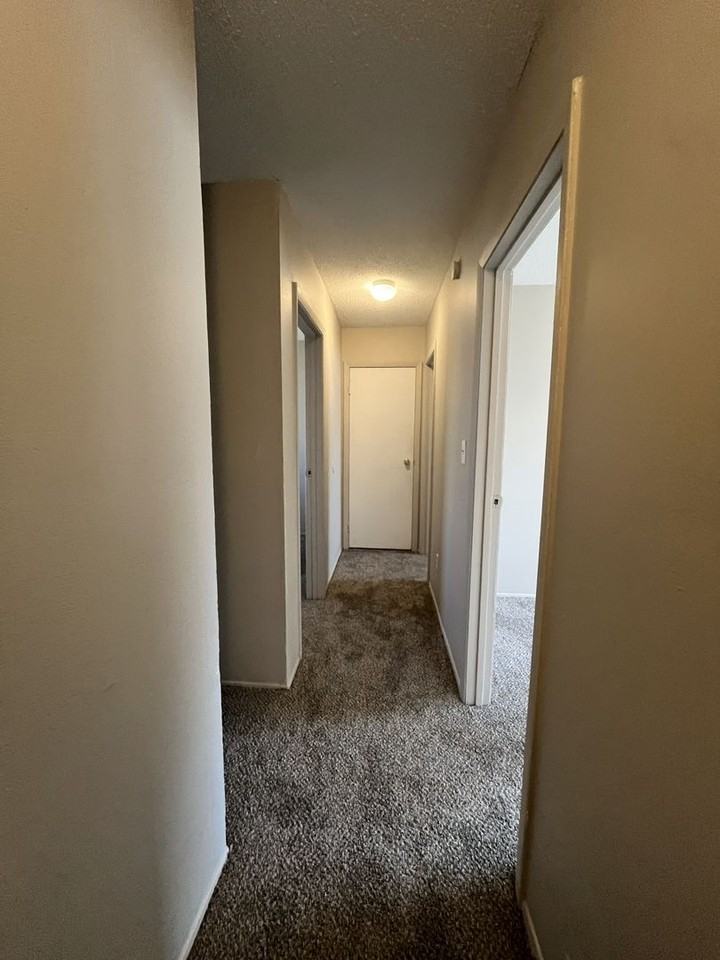 Forest Village Apartments - Photo 6 of 21