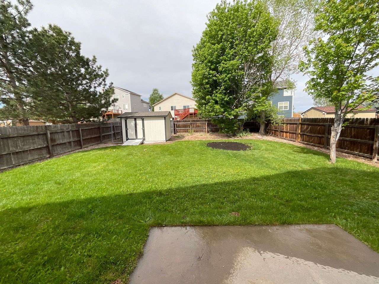 9180 Red Columbine Dr - Photo 6 of 34