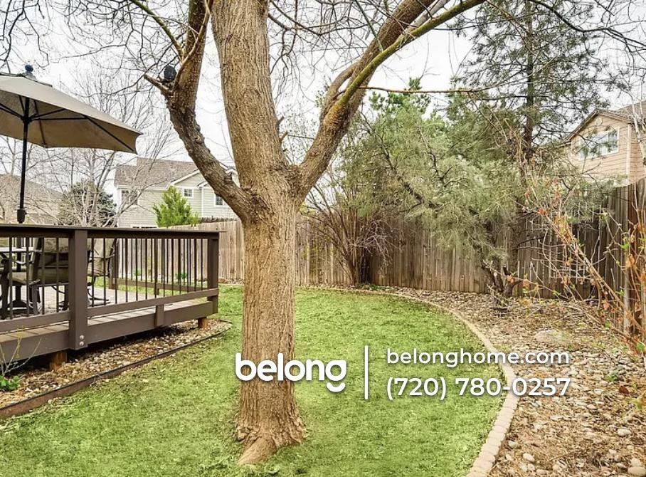 10328 Stoneflower Dr - Photo 5 of 30
