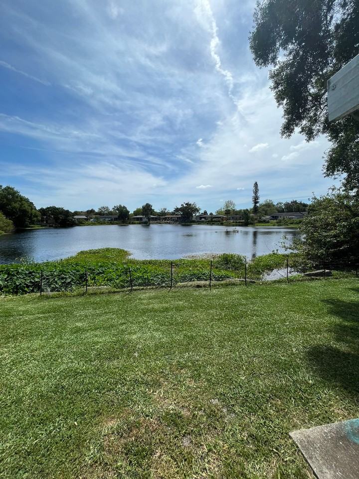 706 Lunar Lake Cir #B - Photo 2 of 13