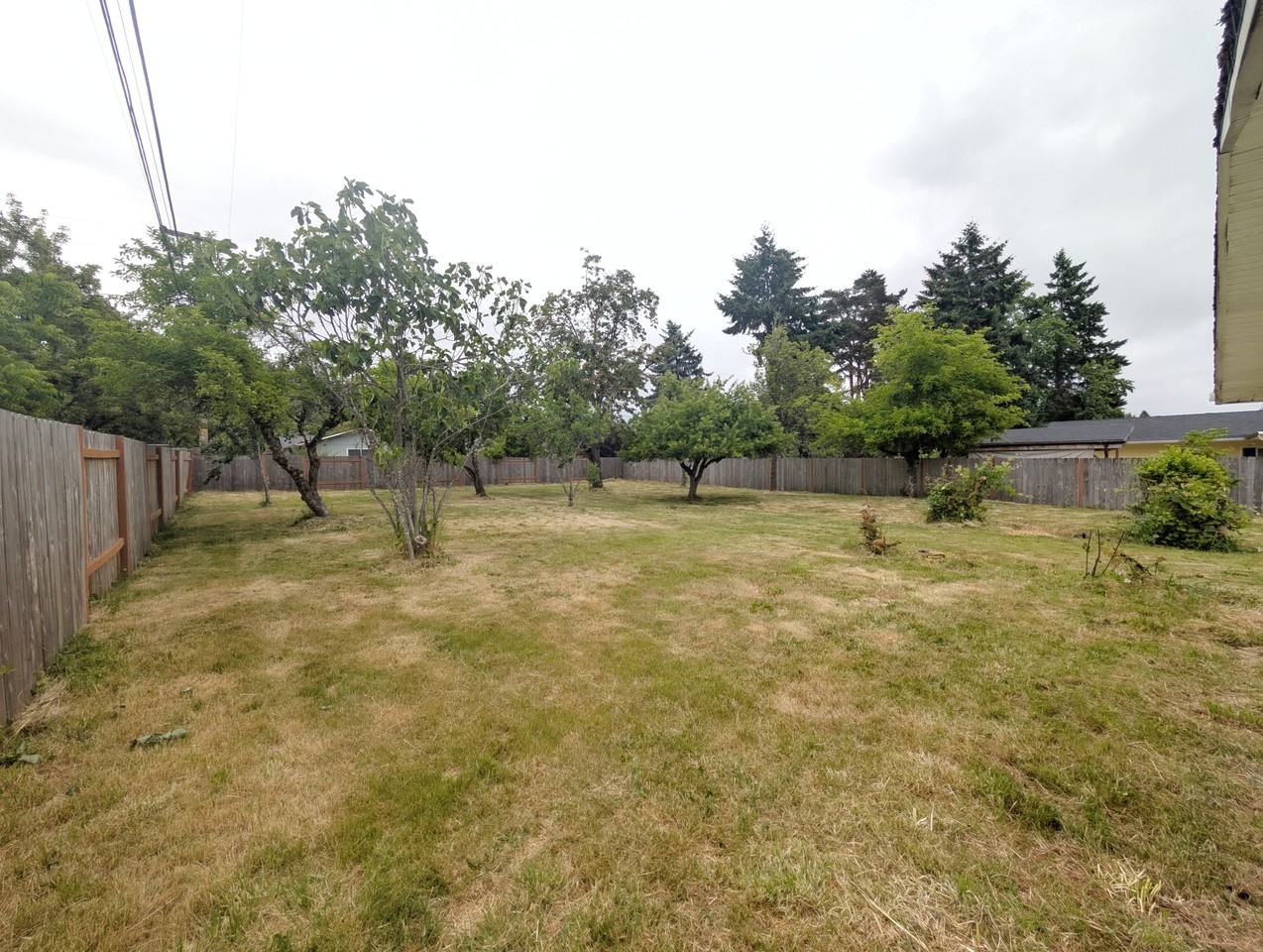1117 Nw Oak Ave #1 - Photo 4 of 24