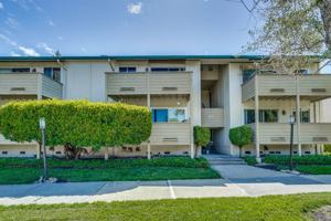 featured image of 781 N Fair Oaks Ave #6