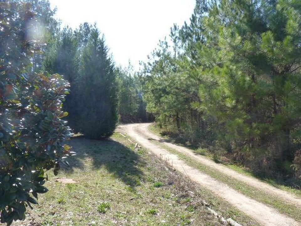 825 Allen Rd - Photo 5 of 9