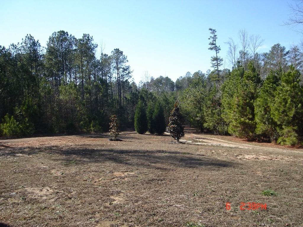 825 Allen Rd - Photo 6 of 9