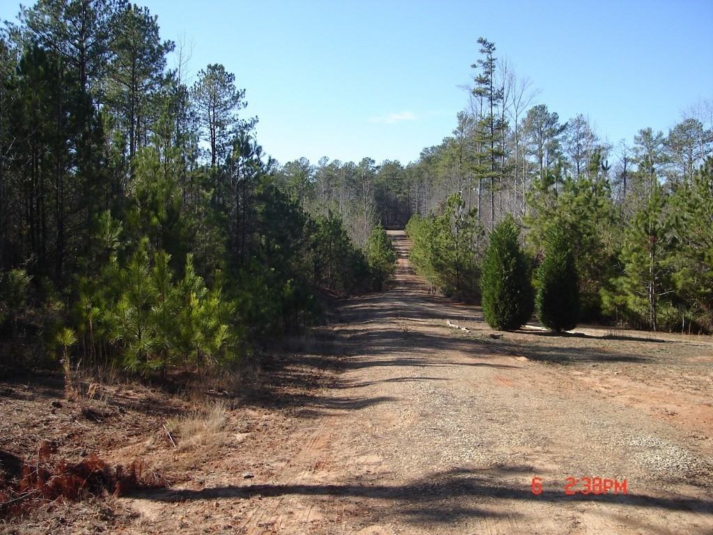 825 Allen Rd - Photo 7 of 9