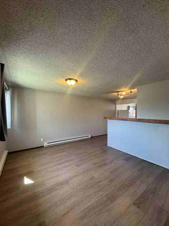 203 E Railroad Ave - Photo 3 of 19