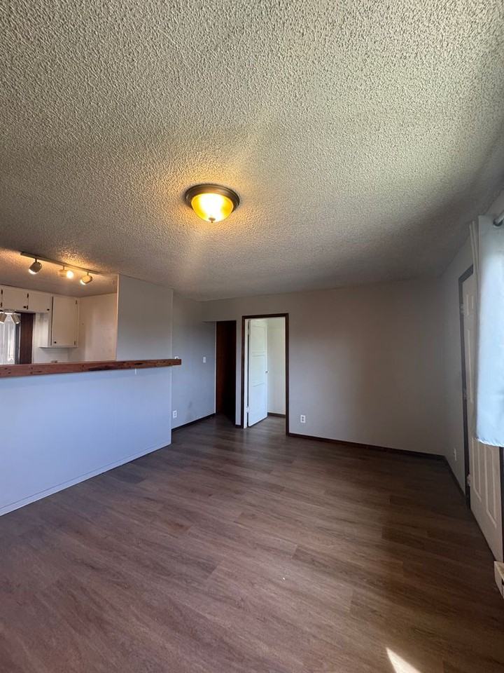 203 E Railroad Ave - Photo 4 of 19