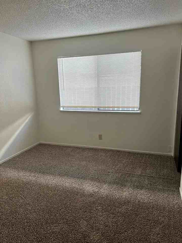 907 Princeton Pl - Photo 6 of 13