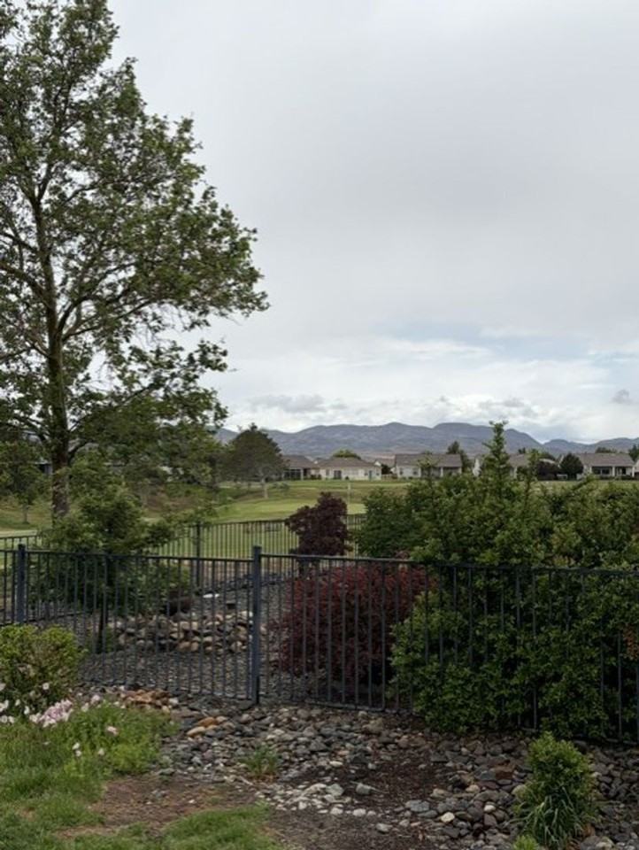 356 Royal Troon Dr - Photo 3 of 14