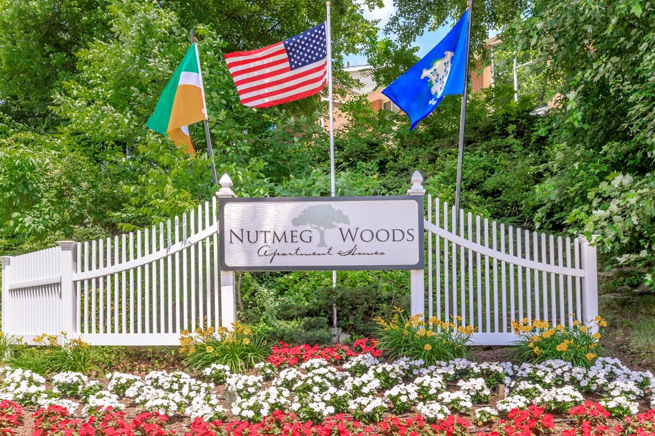 Nutmeg Woods - Photo 3 of 17