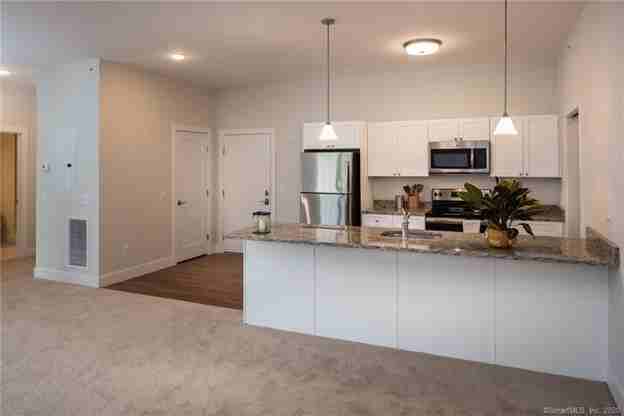 31 Old Danbury Rd #308 - Photo 4 of 17