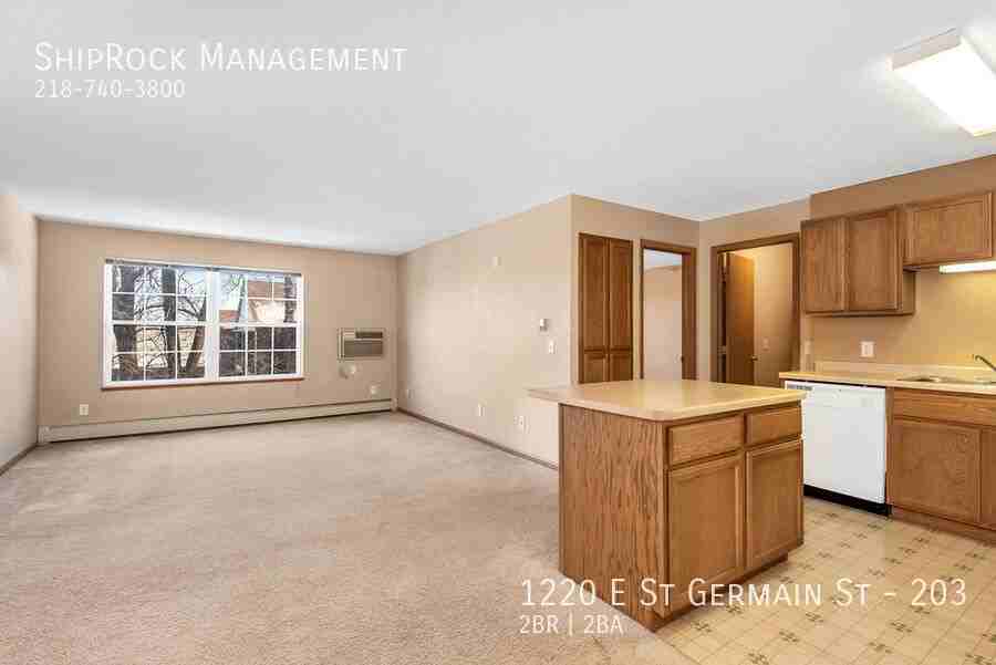1220 E Saint Germain St #203 - Photo 2 of 28