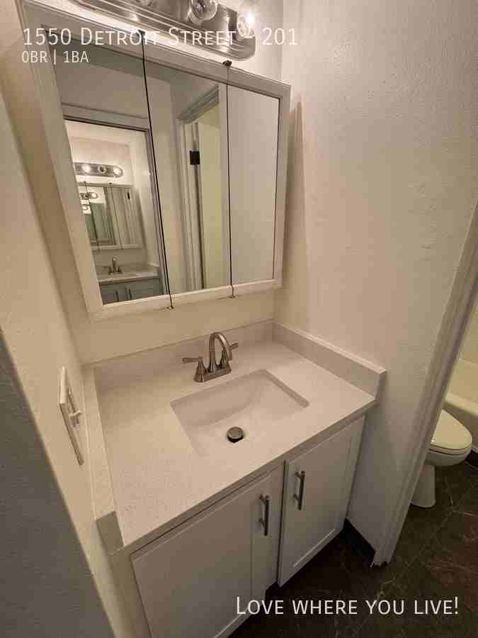 1550 Detroit St #201 - Photo 4 of 13
