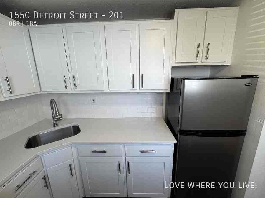 1550 Detroit St #201 - Photo 4 of 12