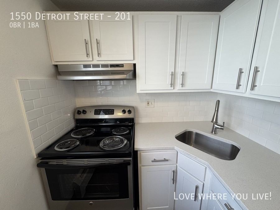 1550 Detroit St #201 - Photo 5 of 12