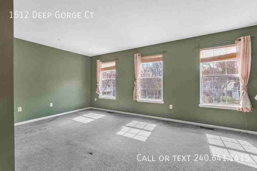 1512 Deep Gorge Ct - Photo 3 of 21