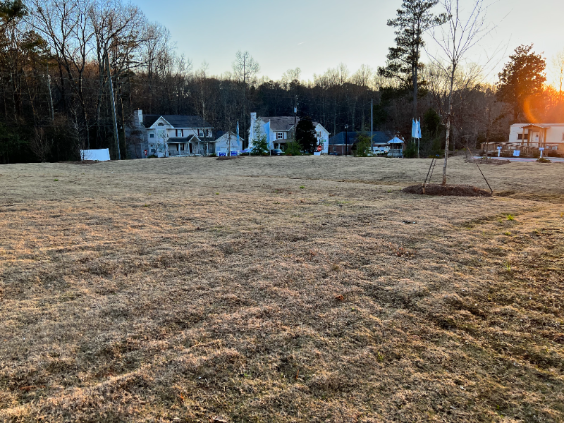 4091 Aveline Ln - Photo 4 of 31