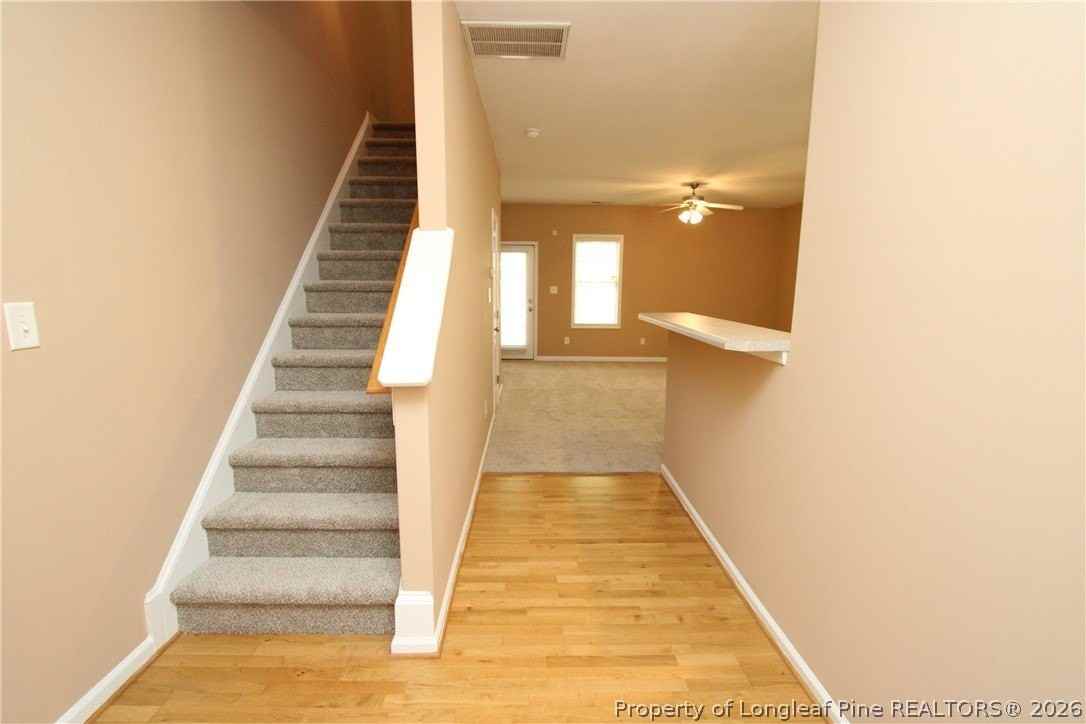 3921 Volkswalk Pl - Photo 3 of 34