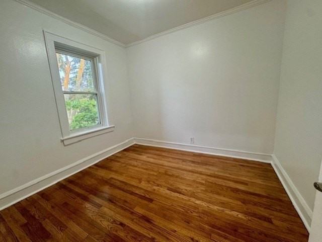 6724 N Campbell Ave #2 - Photo 6 of 20