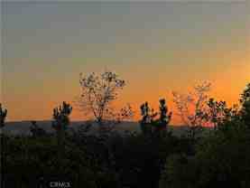 40 Full Moon - Photo 1 of 1