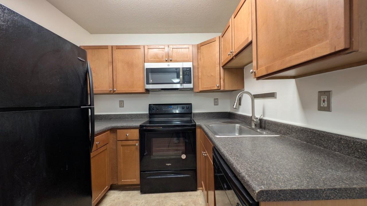 11481 Stoney Point Pl - Photo 6 of 15