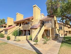 4901 S Calle Los Cerros Dr #206 - Photo 1 of 1